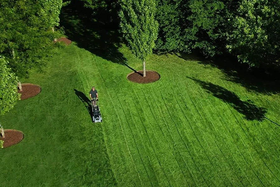 small battery operated lawn mower